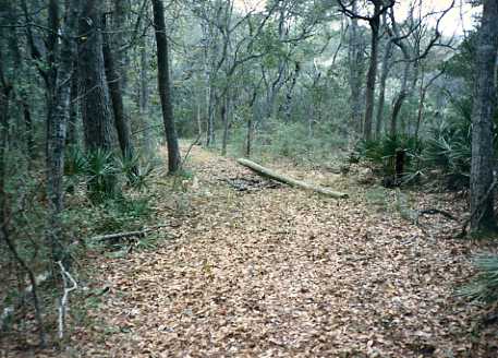 1980 Trail to D. Bruce across ditch2.jpg